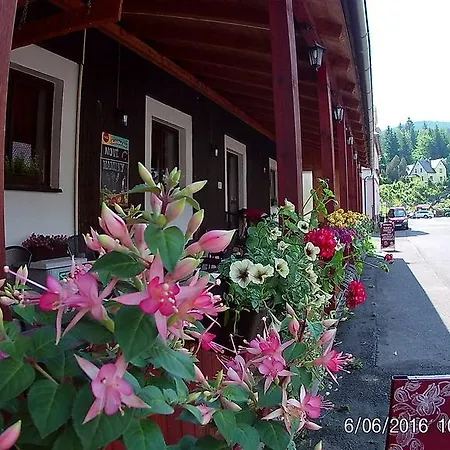 Hotel Malamut Nové Hamry